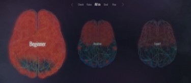 ‘Your Brain on Poker’: le attività cerebrali dei players durante il gioco!