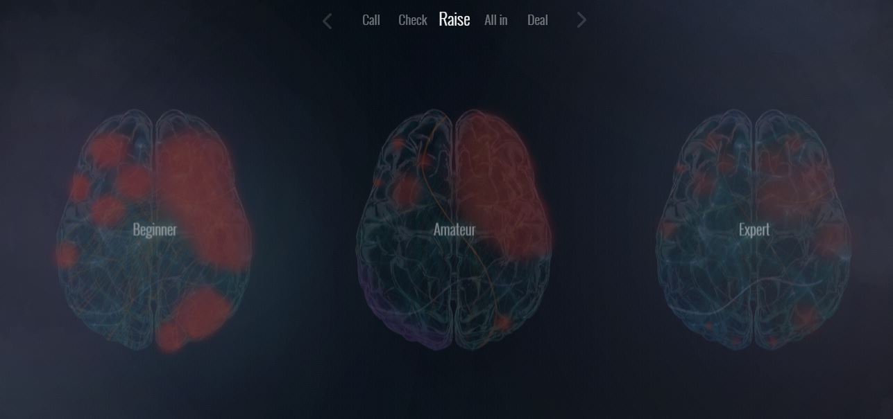 L'attività cerebrale durante il "raise"