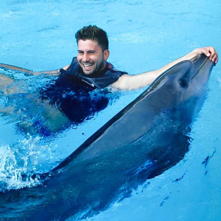 suriano delfini