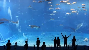 La top 5 dei video “Anti-tilt”!