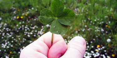 Doppio shippo da 8.500€: il racconto di una giornata di straordinaria run di ‘falcoetrusco’