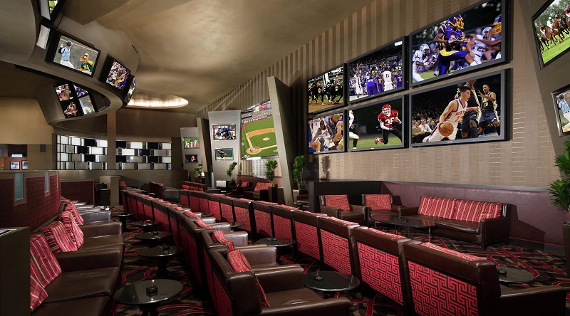 Aria Race and Sports Book Wall