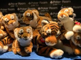 Torna il Tana delle Tigri al Perla di Nova Gorica! Pescatori e Suriano presenti alla terza tappa