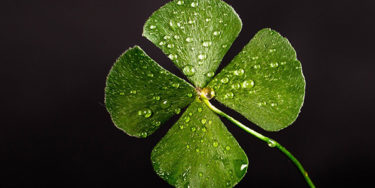 Quanto conta la fortuna nel Texas Hold’Em? Risponde la University of California (forse)