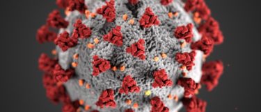 Il Coronavirus vince ancora: cancellato l’imminente IPO a Nova Gorica