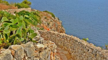 ICOOP – Salento2009 è il dominatore del giovedì! Esultano anche…