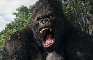 Winter Series – Kingkong1277 trionfa nel Main! Doppio podio per The8princess