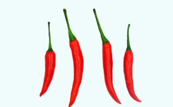 Domenica lo Spicy 50 Winter Series, nuovo torneo con 50k al vincitore