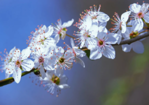 SCOOP: Jastin1987 è il vincitore del Main Event, ma spicca soprattutto la taglia di online’s boy