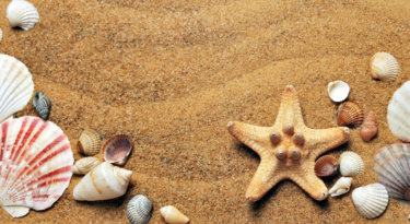 Poker online: ecco qua i migliori tornei di domenica 23 giugno