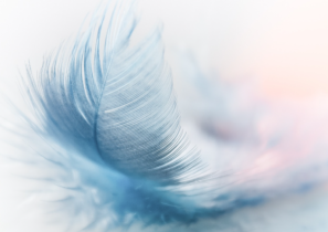 MTT online: tutto finito nei domenicali, Piuma0226 vince l’Explosive Sunday