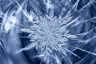 Poker online: i migliori tornei di domenica 14 gennaio