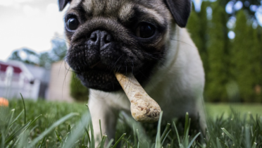 Il lunedì di Stars: ossoduro77 è il più fortunato nel Main Event delle Carnival Series