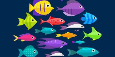 Pesce d’Aprile su PokerStars! Come è andato il 5€ Mystery Bounty con maxi taglia a sorpresa