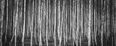 MTT online: Betullatamente trionfa su lost97 nell’Explosive Sunday