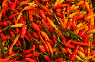 ICOOP 2025: Edoardo Fattorini fa il Blitz domenicale! reirei97 guida lo Spicy 50