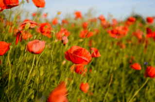 MTT domenicali: Alexisic guida l’Explosive Sunday! A Valsamoggia il Main XL Spring