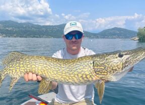 MTT online: Dispo21 la spunta nel Sunday Special! Gioie anche per D’Amore e Castiglioni